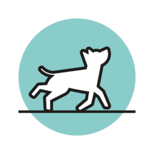 ricerca